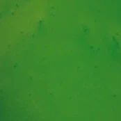 Apple Green