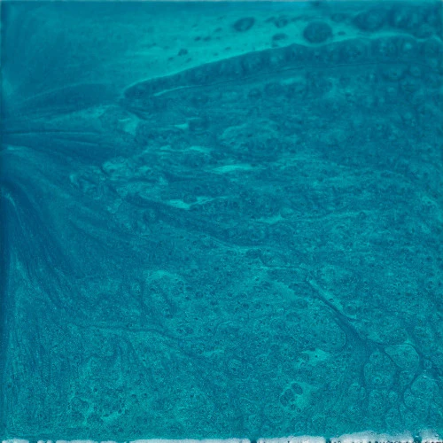 Peacock Green